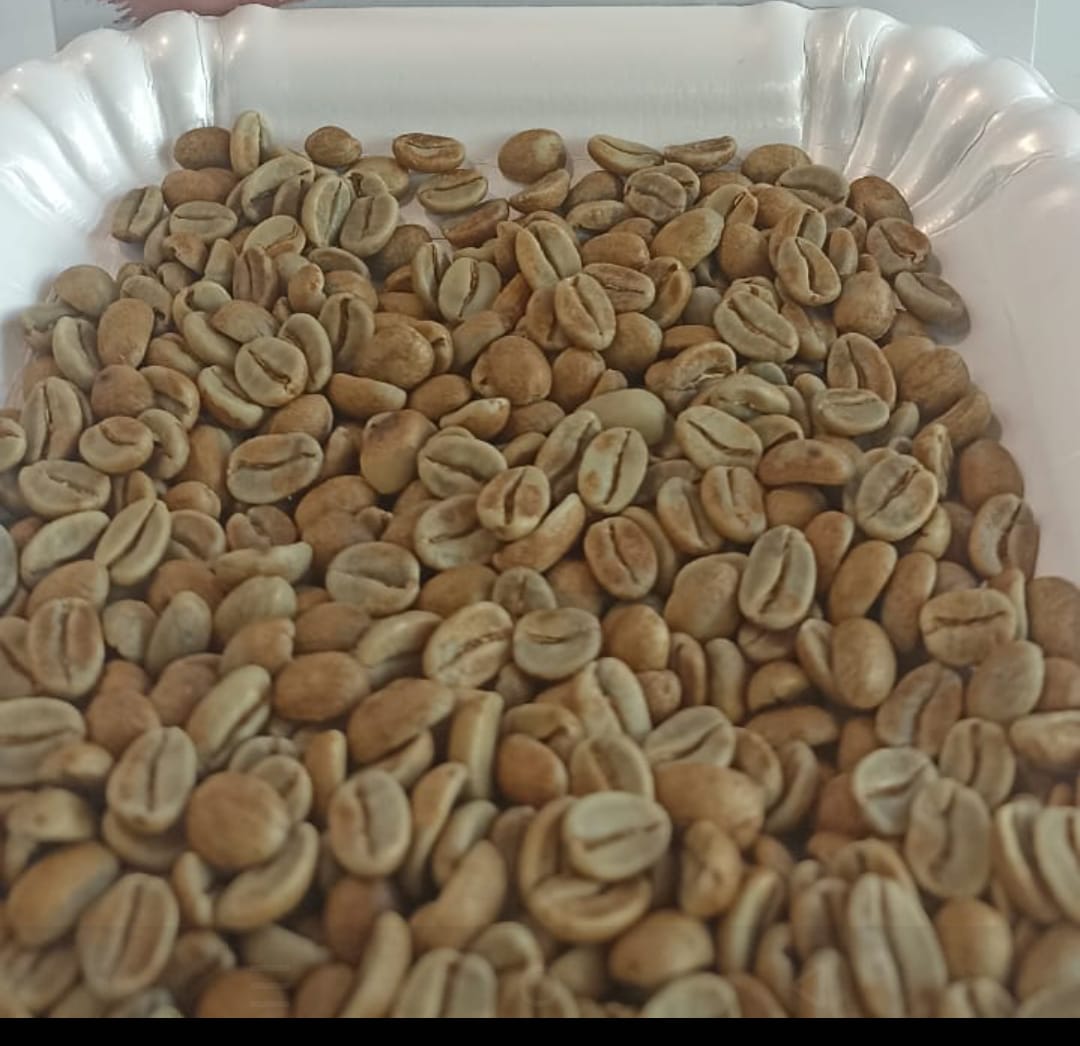 Green coffee beans