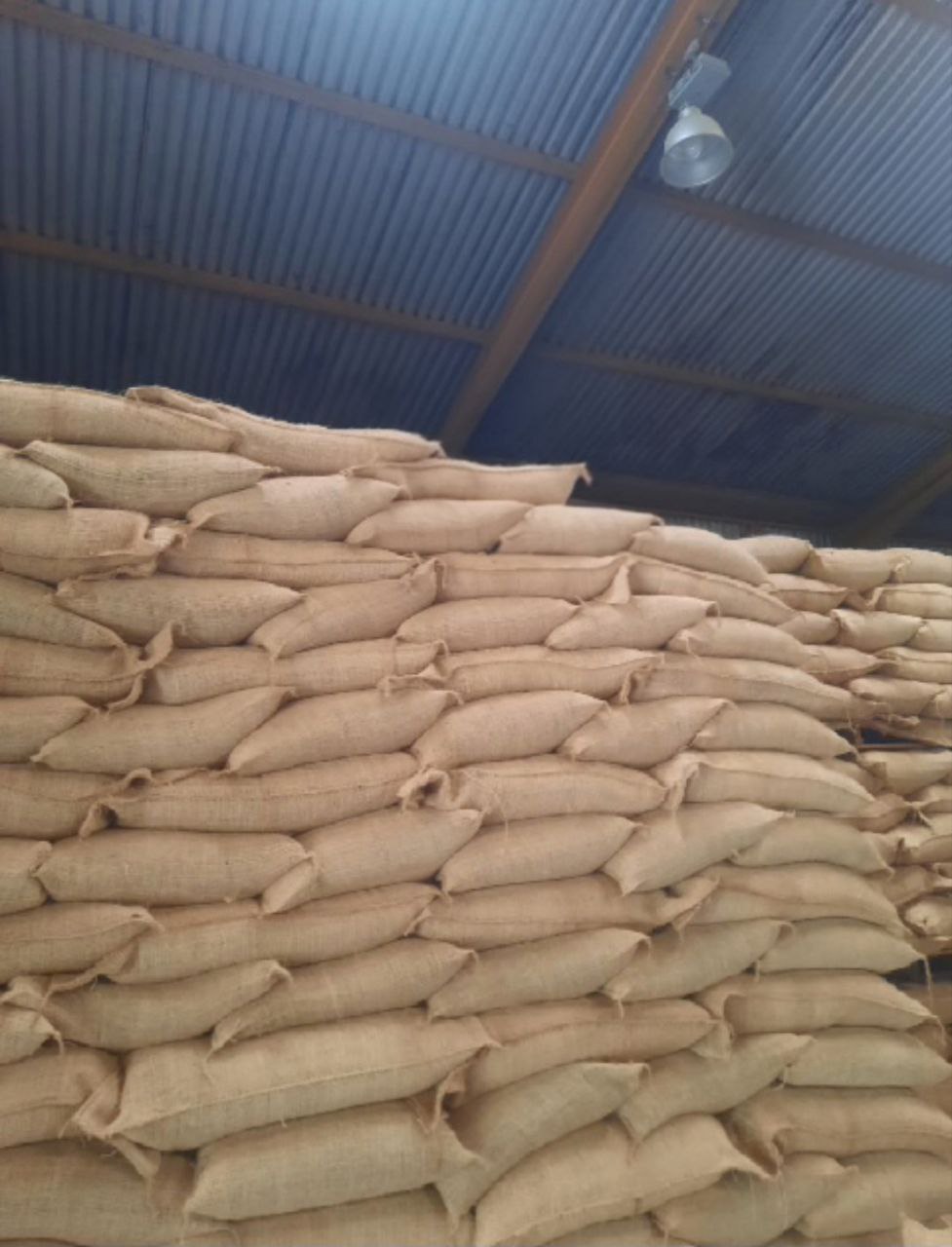 Coffee sacks