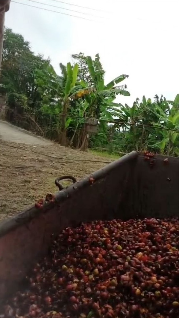 Coffee wash