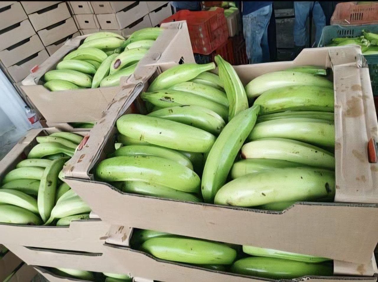 Plantain photo placeholder